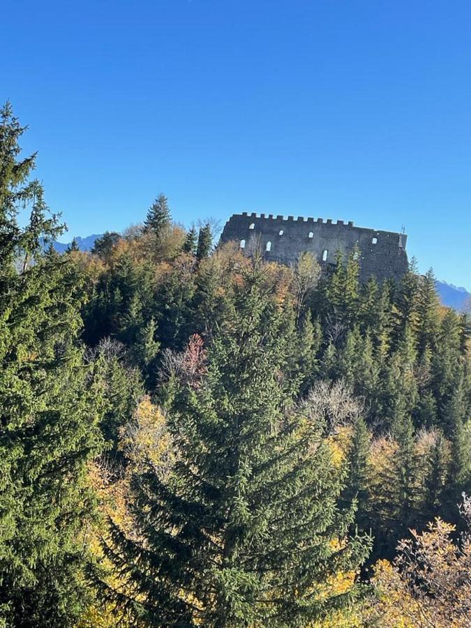 Feriendomizil Ebner-Mayer Pfronten Dış mekan fotoğraf
